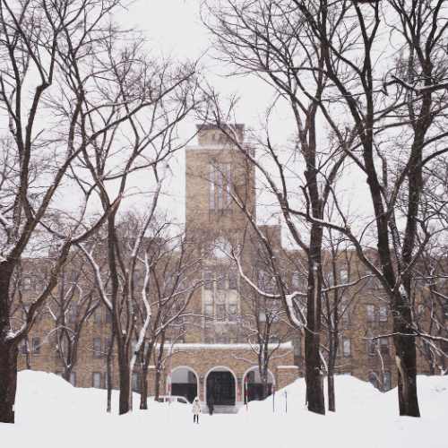 北海道大学　文系