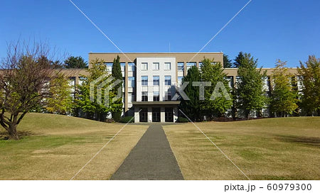 国際基督教大学　理系