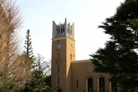 早稲田大学　理系